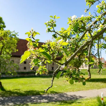 Проживание в семье R. & R. Andersen