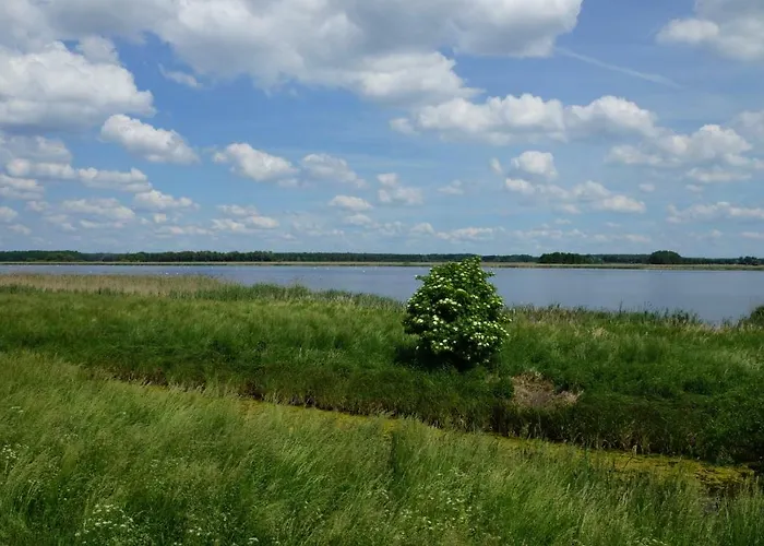 R Und C Lohnherr Apartment