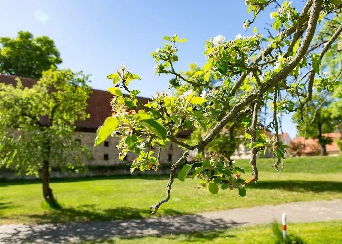 Apartment R Und C Lohnherr